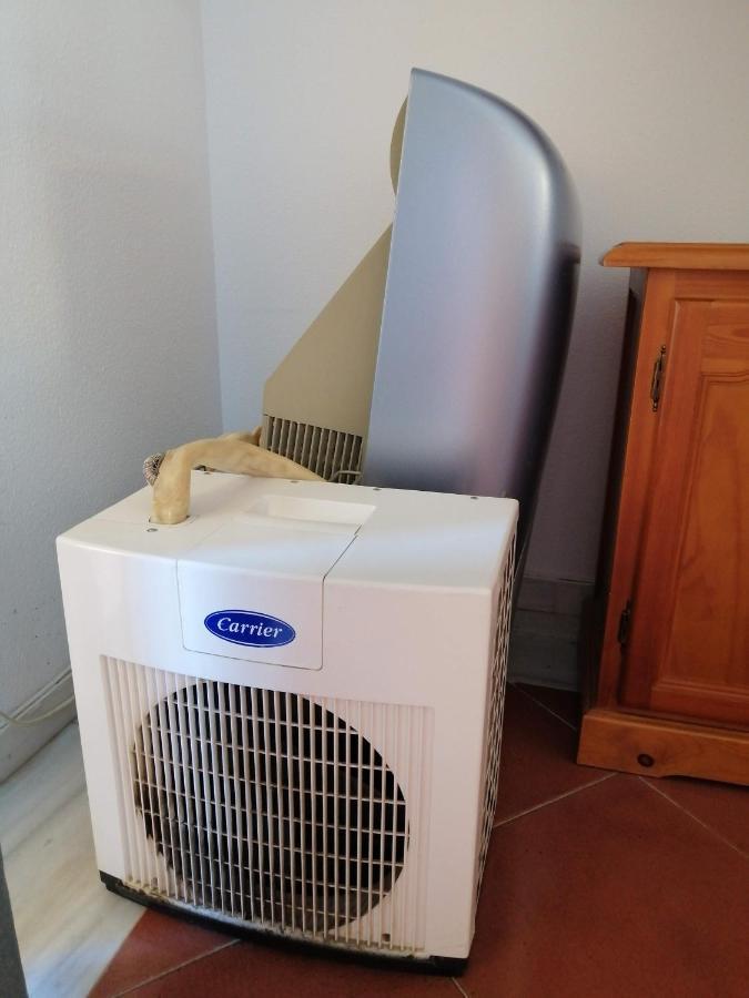 Apartamento Urbanizacion Alcaudon Isla Canela 1A Linea De Playaアパートメント エクステリア 写真